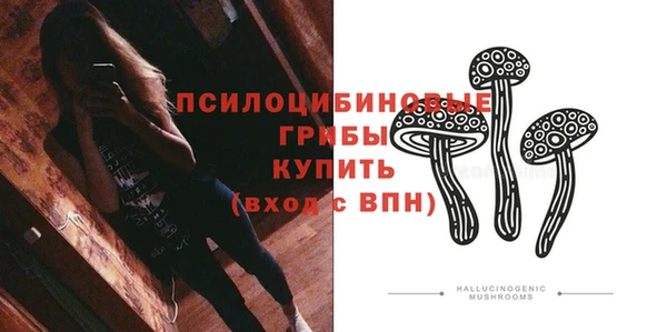 метадон Медвежьегорск