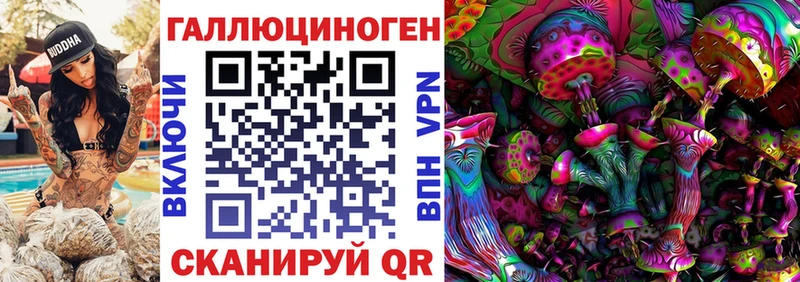 продажа наркотиков  Хабаровск  Галлюциногенные грибы Cubensis 